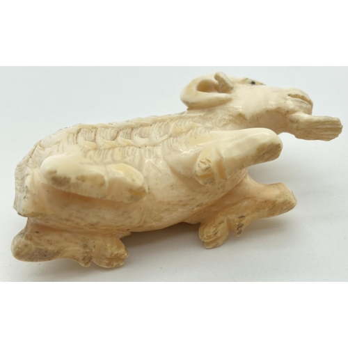 1333 - An Antique carved ivory figure of a long haired ram. Approx. 3.5 x 6cm.