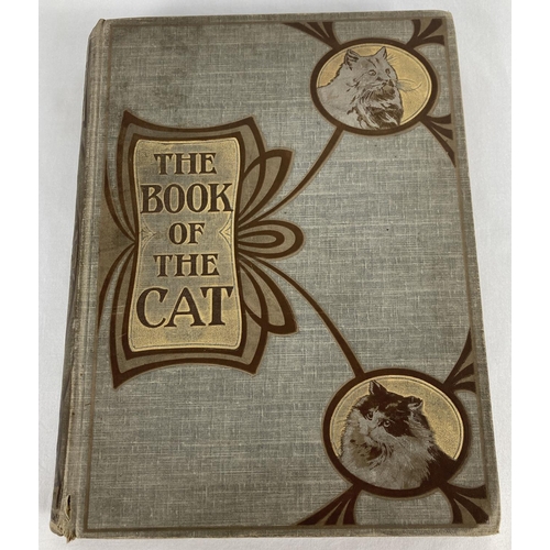 130 - The Book of the Cat by Frances Simpson, 1903, from Cassell & Company Ltd. Cloth bound with gilt deta... 