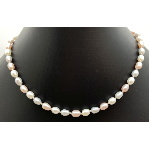 1014 - An alternating cream, peach and grey freshwater pearl necklace with 18ct gold clasp. Knotted between... 