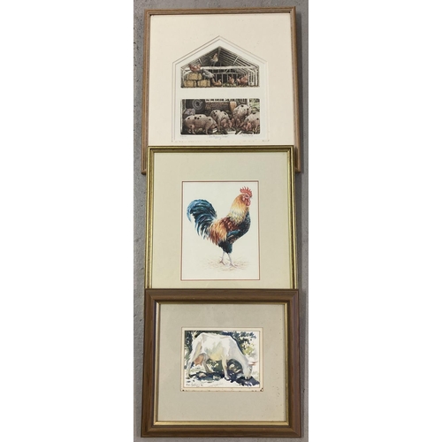 1397 - 3 framed & glazed pictures of farmyard animals. Comprising: a signed watercolour of a Maltese Goat b... 