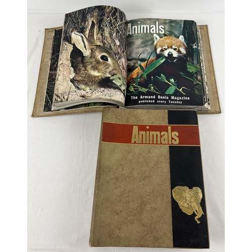 1270 - 2 binders of 1963 Animals magazine from Purnell & sons, with Armand Denis as Editor in chief. Compri... 