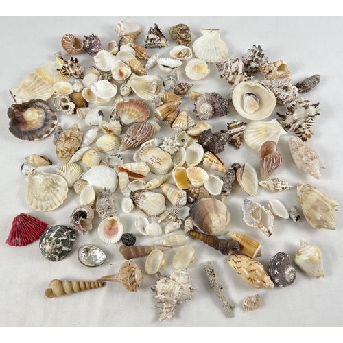 1244 - A collection of vintage sea shell and coral pieces in various style and sizes. To include: branch co... 