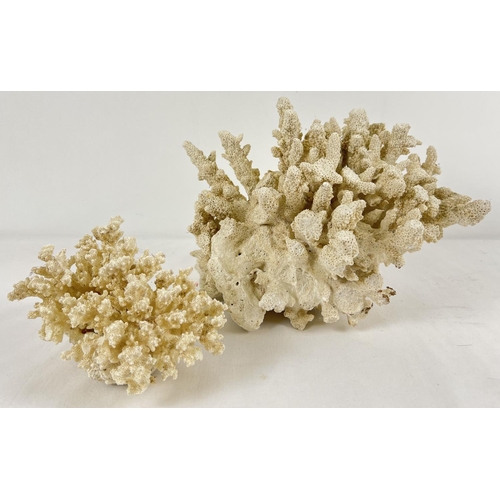 1247 - 2 vintage pieces of white branch coral. Largest approx. 18 x 26cm.