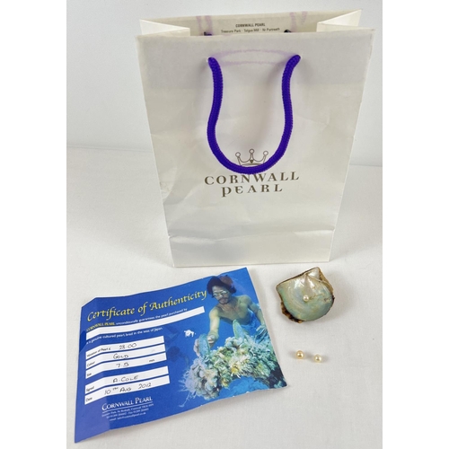 1072 - A pale gold Cornwall 7.5mm pearl with certificate and original bag. Together with a pearl on an oyst... 