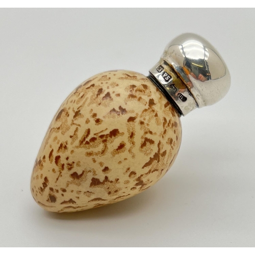 1129 - A Victorian novelty scent bottle modelled as a bird egg, with hallmarked silver lid. Porcelain beige...