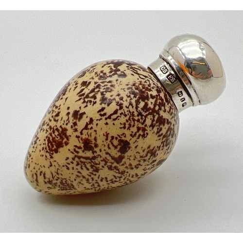 1130 - A Victorian novelty scent bottle modelled as a bird egg, with hallmarked silver lid. Porcelain light... 