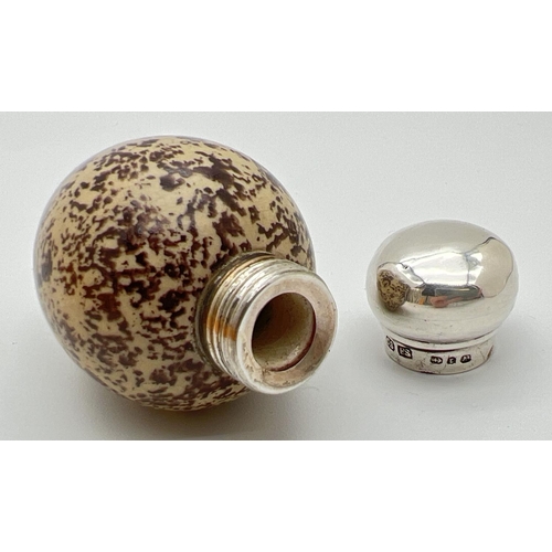 1130 - A Victorian novelty scent bottle modelled as a bird egg, with hallmarked silver lid. Porcelain light... 