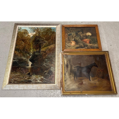 1331 - 3 framed oil paintings in varying sizes and conditions. A large woodland waterfall scene, a horse an... 