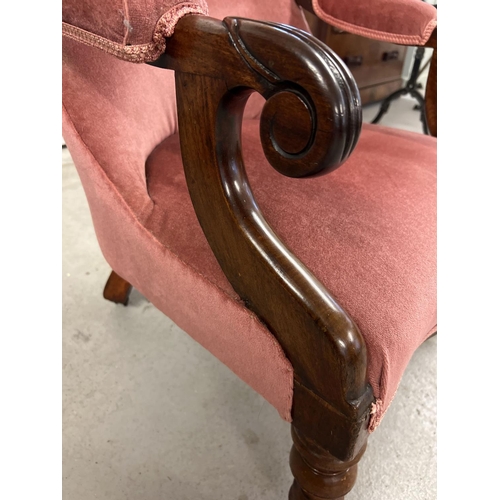 1379 - A Victorian mahogany low nursing chair with carved front legs and scroll design arms. With dark pink... 