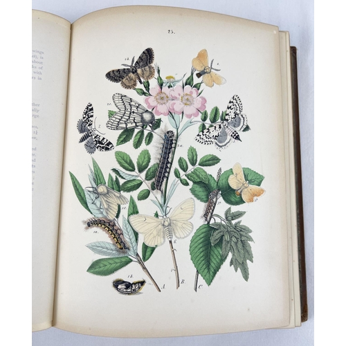 1300 - European Butterflies and Moths by W.F. Kirby with 61 coloured plates from Cassell, Peter, Galpin & C... 