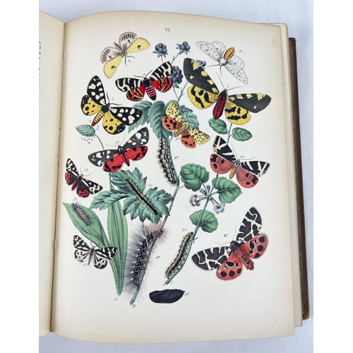 1300 - European Butterflies and Moths by W.F. Kirby with 61 coloured plates from Cassell, Peter, Galpin & C... 