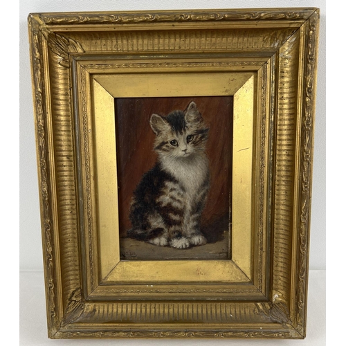 1306 - A gilt framed antique oil on wooden panel of a long haired tabby cat. Indistinct signature to back o... 