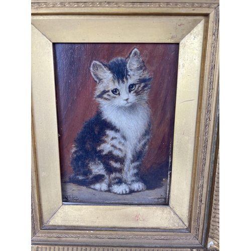 1306 - A gilt framed antique oil on wooden panel of a long haired tabby cat. Indistinct signature to back o... 