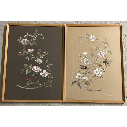 1312 - 2 framed and glazed water colours by Suzanne Trim. A flowering blackberry stem and a flowering roseh... 