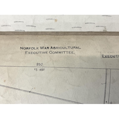 159 - 21 x 1905 Second Edition North Western Division Norfolk War Agricultural Executive Committee land ma... 