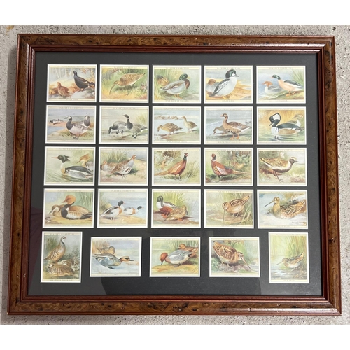 161 - A framed and glazed set of 25 reproduction Player's Game Bird & Wild Fowl cigarette cards. 1987 repr... 