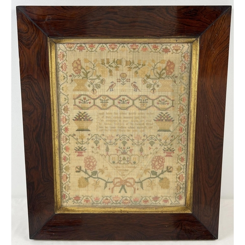 1291 - A framed and glazed Georgian fine embroidered sampler by Sophia Everton September 1835. With floral ...