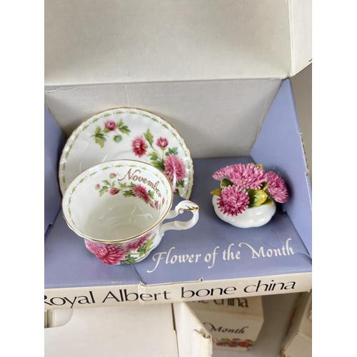 1193 - A full set of 12 boxed Royal Albert 'Flower of the Month' cup & saucer sets each with a flower displ... 