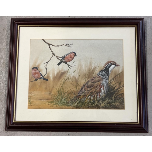 1360 - Peter R Holmes watercolour depicting a partridge and 2 bullfinches. Signed under mount. In dark wood... 