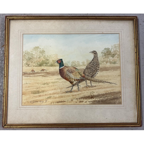 1361 - A vintage framed & glazed watercolour of pheasants, signed to lower left 'A Sadler-Key F'. Frame siz... 