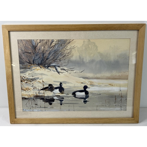 1383 - A framed and glazed signed watercolour of tufted ducks on a river by Arthur Gee. Signature to bottom... 