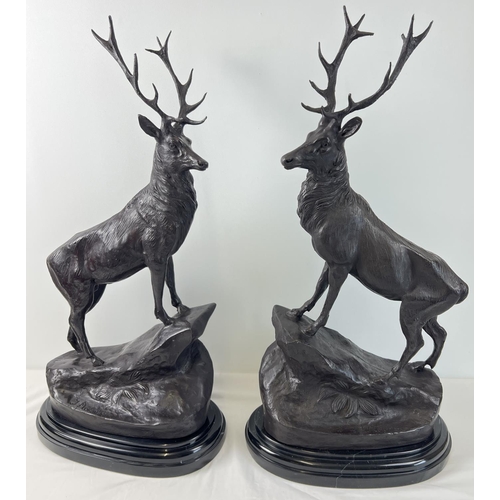 1203 - A pair of very large bronze left & right facing stag figures mounted on black marble bases. Each app... 