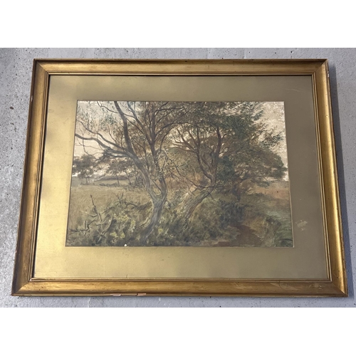 1471 - A framed and glazed watercolour of trees by a riverside, unsigned. Frame size approx. 55 x 70cm.