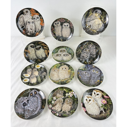 1160 - A set of 12 boxed Wedgwood ceramic collectors plates from 'The Baby Owls' series by Dick Twinney. 6.... 