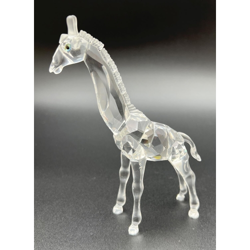 1198 - Retired Swarovski Crystal baby giraffe 236717 from the 