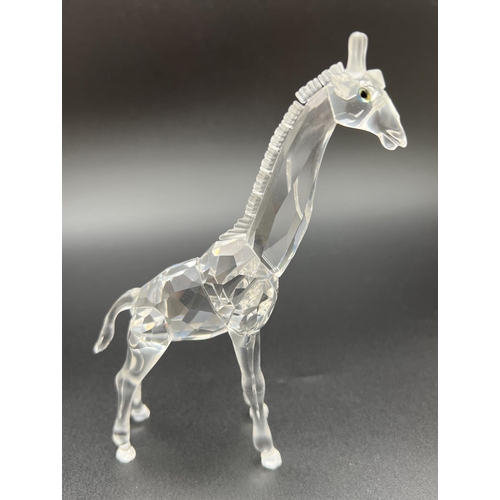 1198 - Retired Swarovski Crystal baby giraffe 236717 from the 