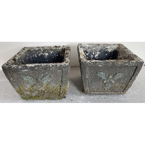 1495 - A small pair of square shaped concrete garden planters with tudor rose and acorn design to sides. Ap... 