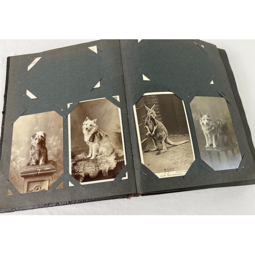 239 - An Art Nouveau postcard album containing approx. 175 assorted postcards. To include animals, street ... 