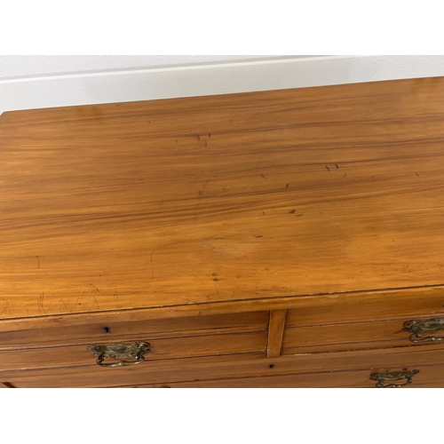 1439 - An Edwardian satin wood 2 over 3 chest of drawers with brass drop down handles. Approx. 106cm tall x... 