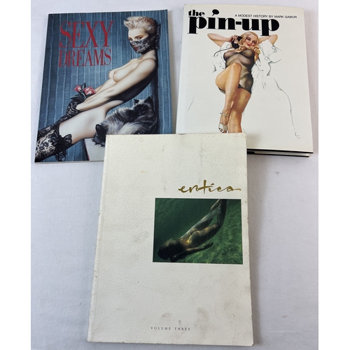 197 - 3 adult erotic books. The Pin-Up; A Modest History by Mark Gabor, hardback book with dust cover toge... 