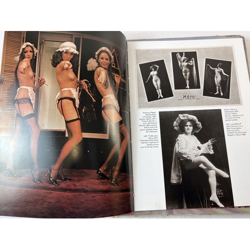 198 - 4 assorted adult erotic books. The Bikini from Pedro Silmon; A Pictorial History of Striptease; A Cu... 