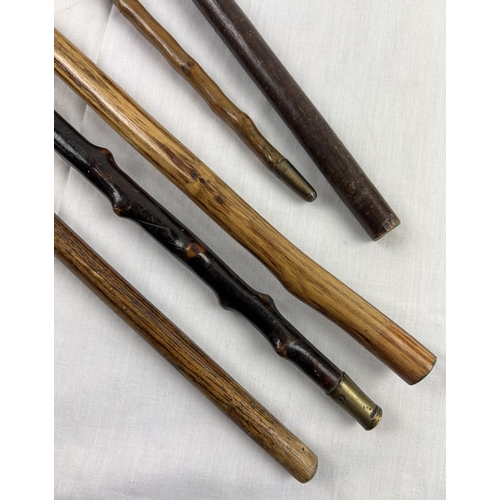 1325 - A collection of 5 assorted vintage & antique wooden and polished walking sticks. Tallest approx. 90c... 