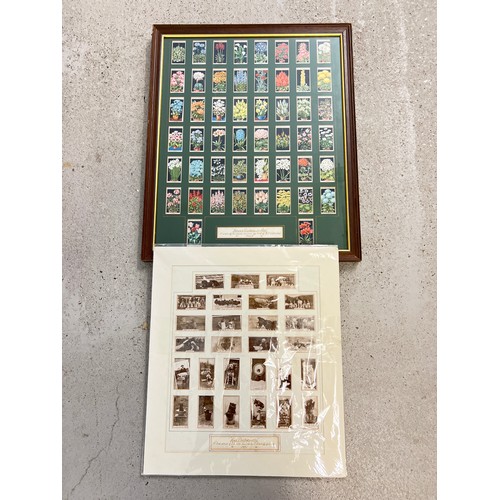 1273 - 2 mounted sets of vintage cigarette cards, 1 framed & glazed. A mounted set of 27 photographic De Re... 