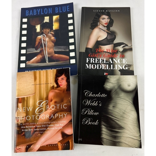 254 - 4 assorted adult erotic paperback books. Charlotte Webb's Pillow Book, New Erotic Photography, Babyl... 