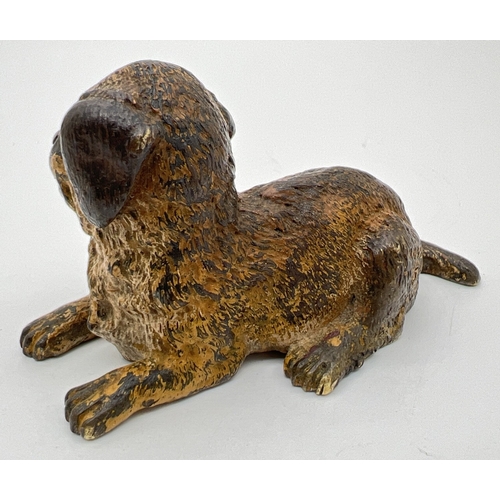 1262 - An antique Franz Bergman cold painted bronze figure of a small dog. Depose and kite mark to undersid... 