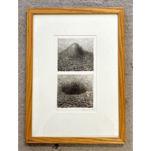 1037 - Artists proof, double print, signed in pencil and marked 'AP' to margin. Framed & glazed. Frame size... 