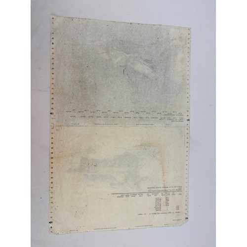 1012 - Ahmed Shahabuddin (b.1950, Bangladesh), watercolour on continuous dot matrix computer paper, with sk... 