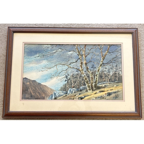 1033 - Watercolour of a wooded mountainous scene, signed to lower left Norman Jackson. Framed & glazed. Fra... 