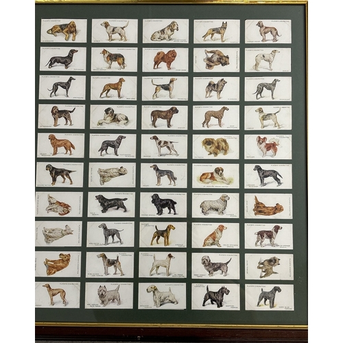 228 - 2 framed & glazed cigarette card sets. A complete set of 50 Dogs cards from the 1930's, with picture... 