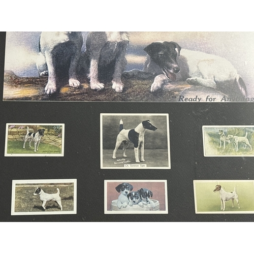 228 - 2 framed & glazed cigarette card sets. A complete set of 50 Dogs cards from the 1930's, with picture... 