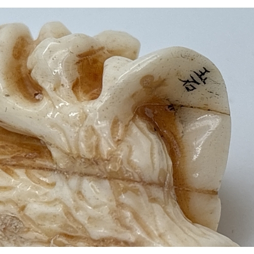 1283 - A signed Chinese netsuke modelled as a flying insect resting on a branch, possibly bone. Engraved si... 