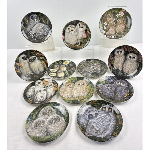 1228 - A collection of 12 Wedgwood collectors plates from The Baby Owls series by Dick Twinney. All approx.... 