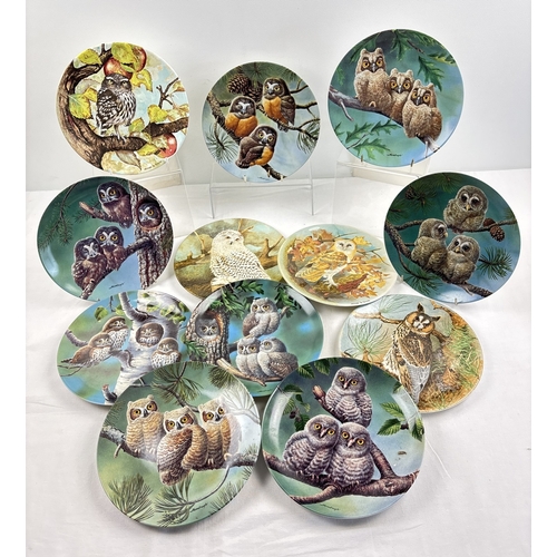 1231 - 12 assorted ceramic collectors plates with owl decoration. A set of 4 Coalport 8.5