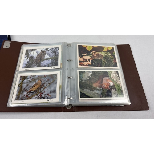 69 - 2 large albums containing 400+ modern bird & wildlife postcards together with a collection of 200+ v... 