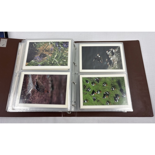 69 - 2 large albums containing 400+ modern bird & wildlife postcards together with a collection of 200+ v... 