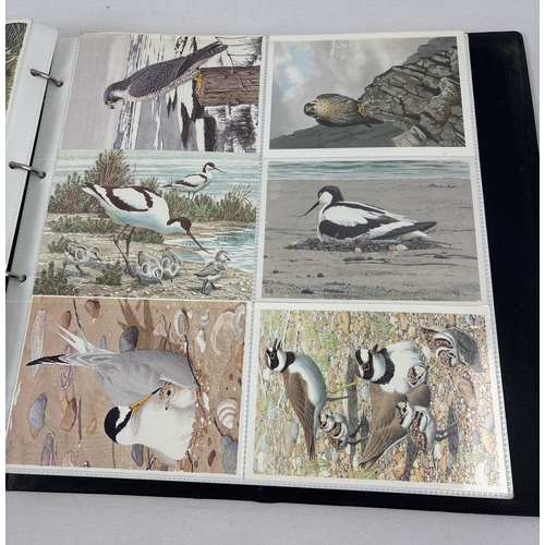 69 - 2 large albums containing 400+ modern bird & wildlife postcards together with a collection of 200+ v... 